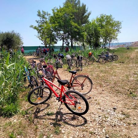 B&B Il Battocchio Lanciano Buitenkant foto
