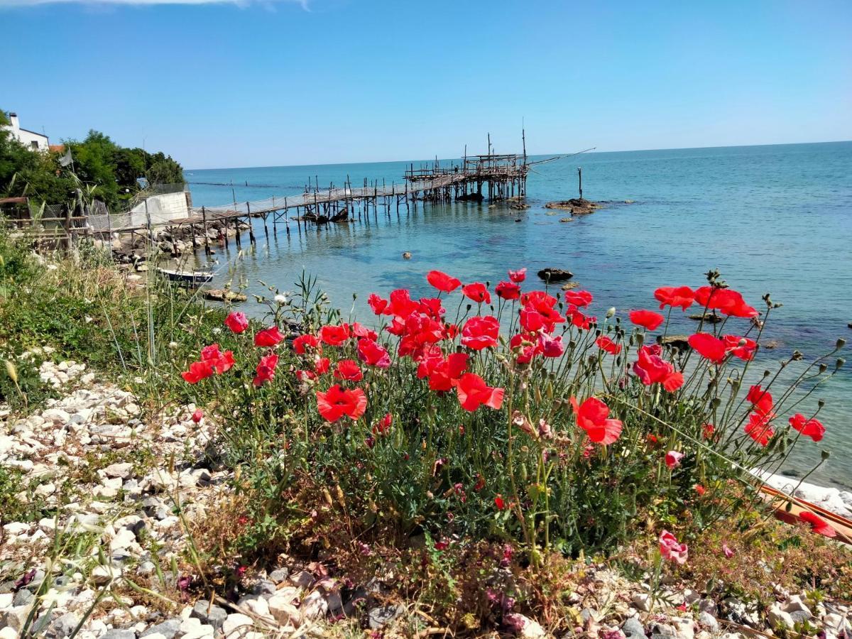 B&B Il Battocchio Lanciano Buitenkant foto