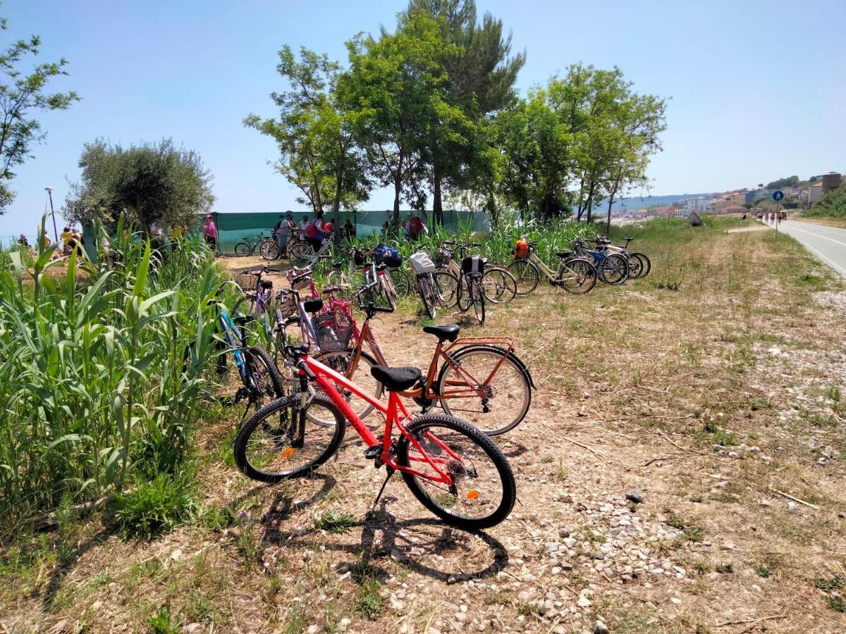 B&B Il Battocchio Lanciano Buitenkant foto